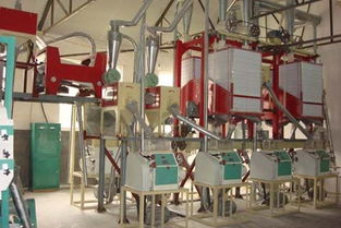 【面粉機(jī)組、面粉機(jī)成套設(shè)備專(zhuān)業(yè)的生產(chǎn)廠(chǎng)家】