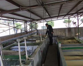 東莞工業(yè)廢水處理公司,重慶電鍍污水處理工程價(jià)格及規(guī)格型號(hào)